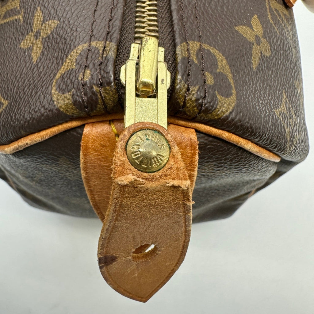 Speedy Handbag Monogram Canvas 25