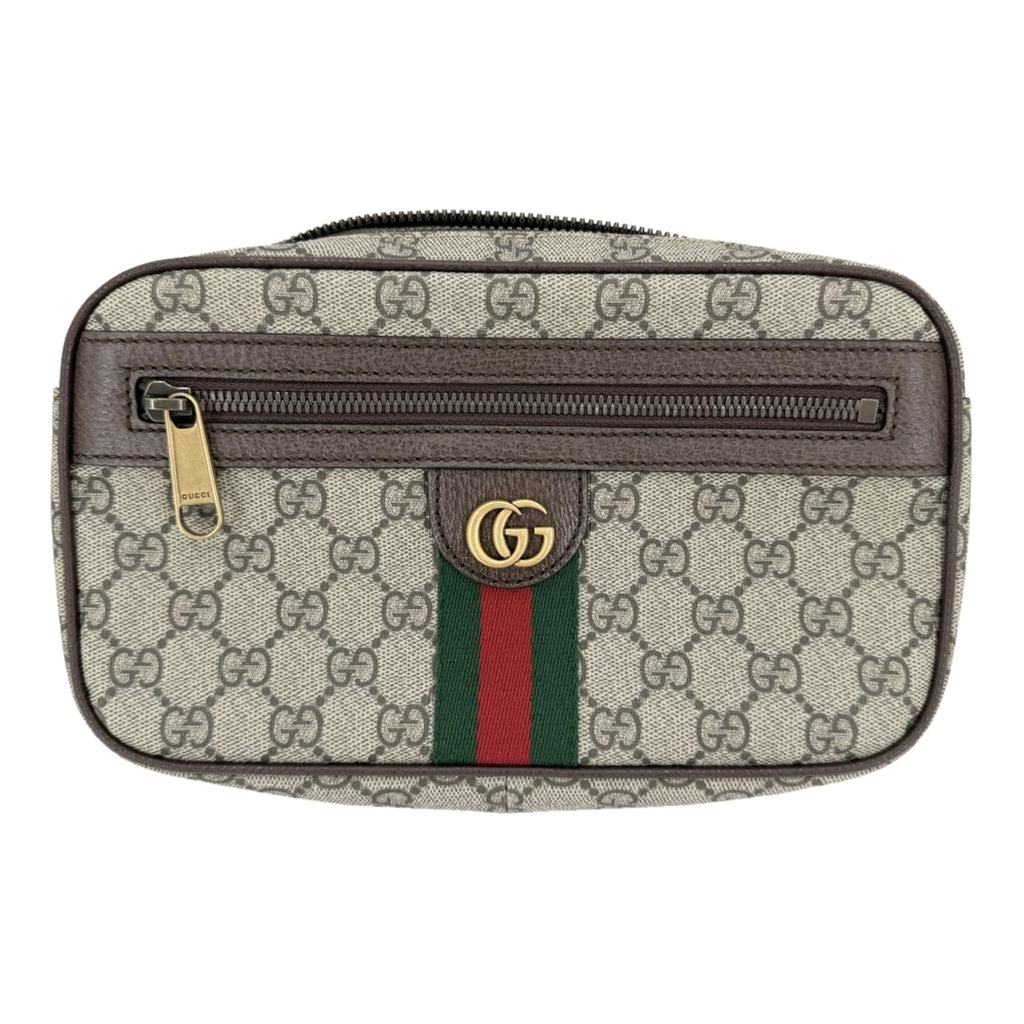 Ophidia Belt Bag GG Coated Canvas Medium