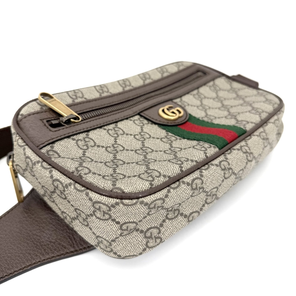 Ophidia Belt Bag GG Coated Canvas Medium