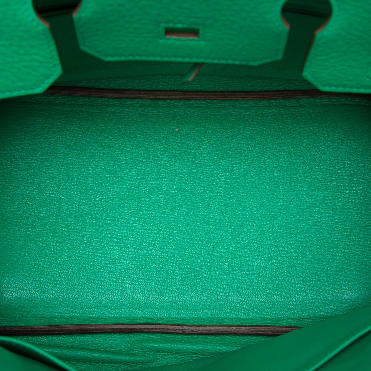 Birkin Handbag Green Clemence with Gold Hardware 30