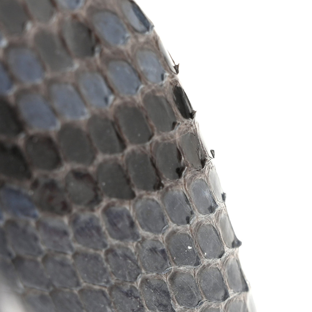 Python Lady Lock Clutch Blue