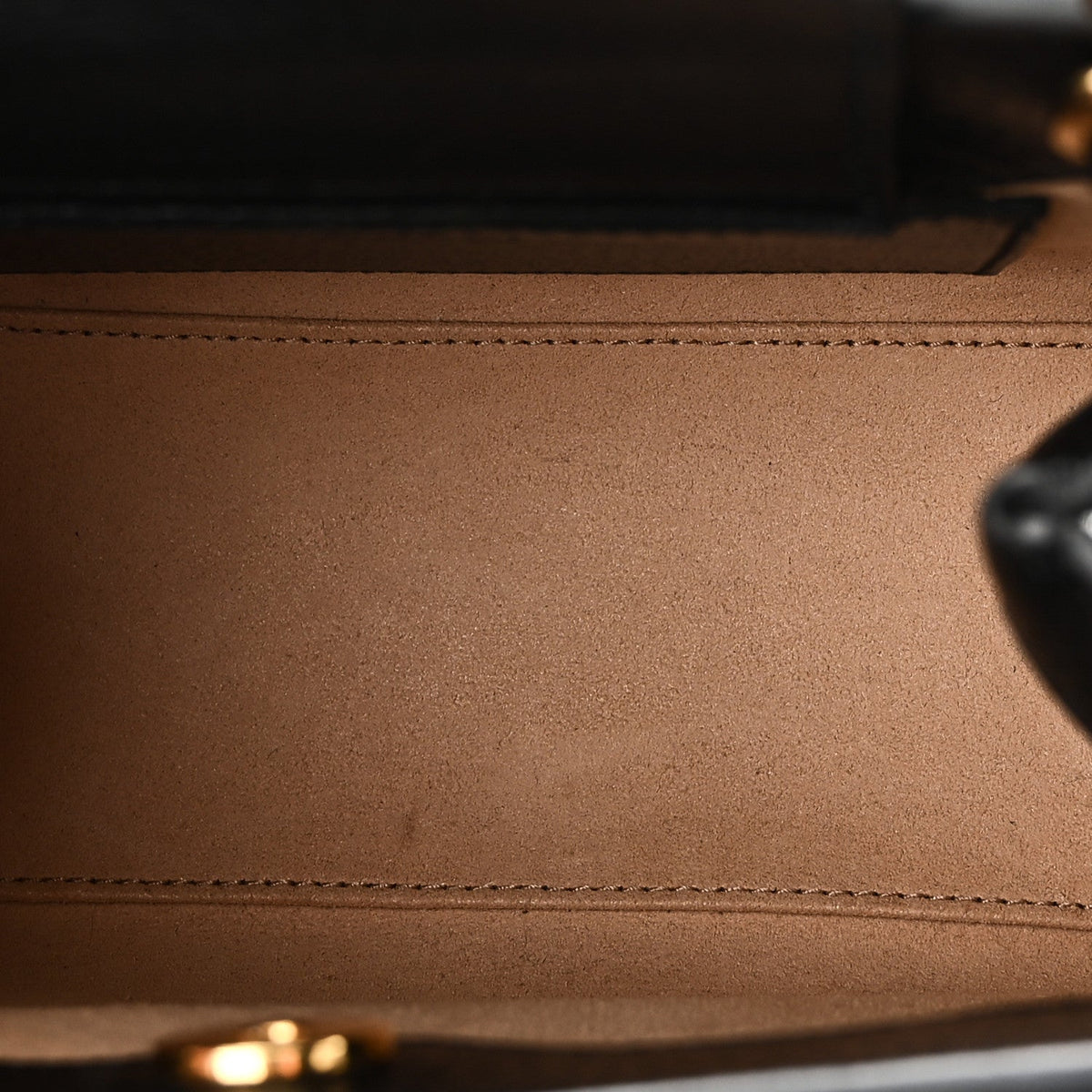 Textured Dollar Calfskin Web Mini Diana Tote Bag Black
