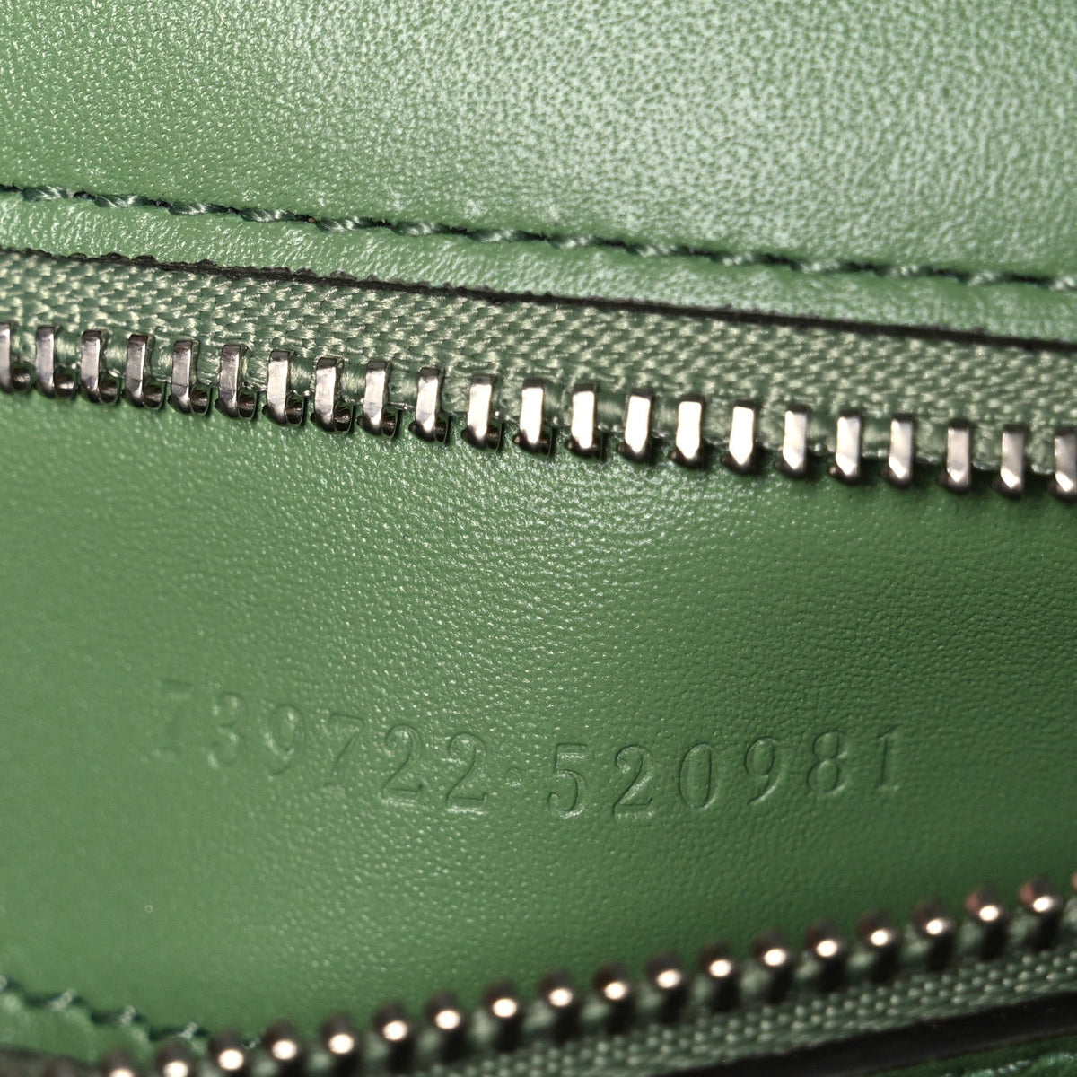 Senna Calfskin Petite GG Top Handle Shoulder Bag Green Soil Grass